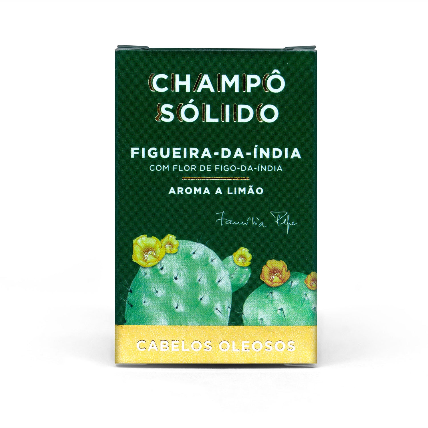 CHAMPÔ SÓLIDO - CABELOS OLEOSOS